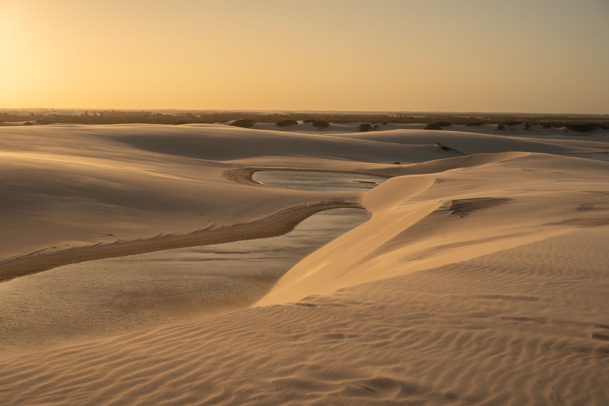 Freshwater lagoon among the dunes near Jericoacoara