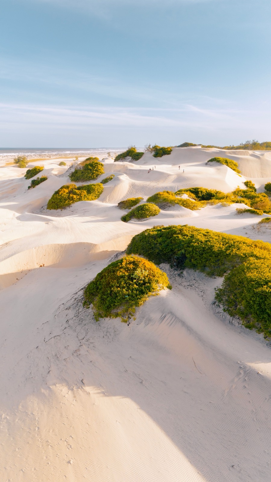 White dunes with green vegetation, Jericoacoara